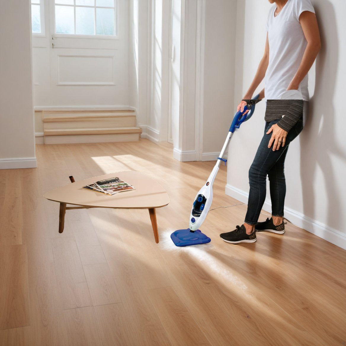 Steam mop a 2.251 CZK