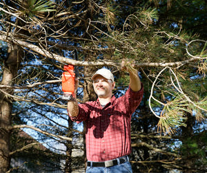 Minichain Saw a 36.828,00 HUF