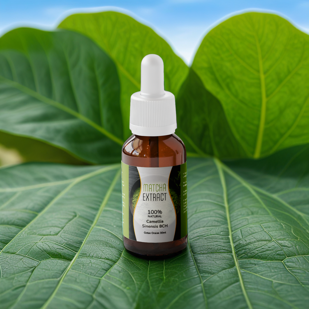 Matcha Extract