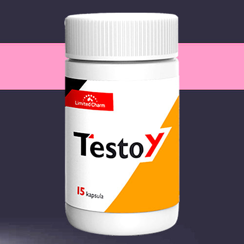 TESTOY